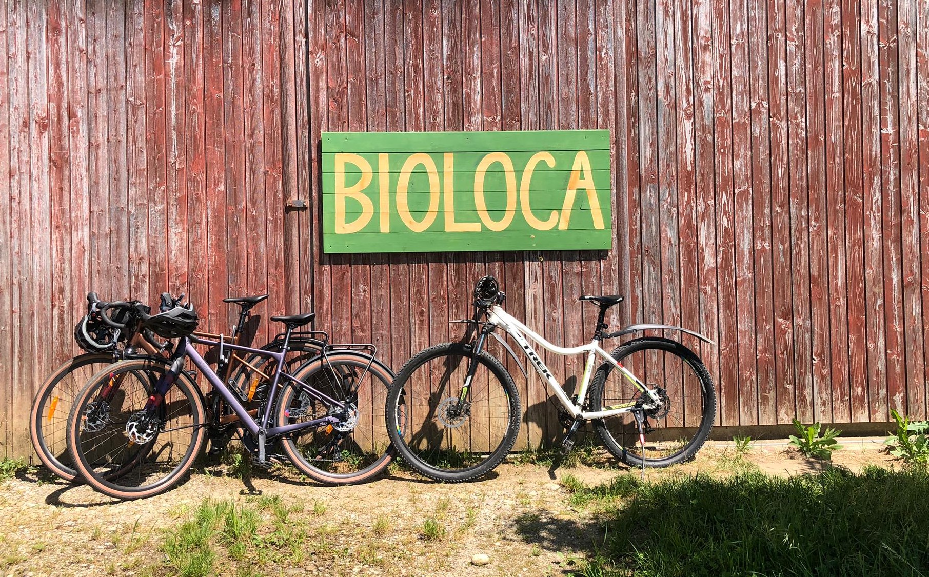 Bioloca Schild mit Velos geschnitten